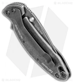 Kershaw Chive Assisted Opening Knife (1.94" Blackwash) 1600 -Kershaw Store Kershaw Chive Assisted Opening Blackwash KS1600BLKBW BHQ 100765 jr side