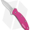 Kershaw Chive Assisted Opening Knife Pink (1.94" Bead Blast) 1600PINK -Kershaw Store Kershaw Chive Assited Opening Knife Pink 1in 94cm Beadblast 1600 Pink BHQ 2218 td