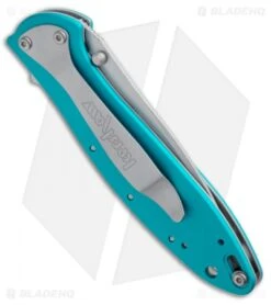Kershaw Leek Assisted Opening Knife Teal (3" Bead Blast) 1660TEAL -Kershaw Store Kershaw Leek 1660teal BHQ 22700 jr side