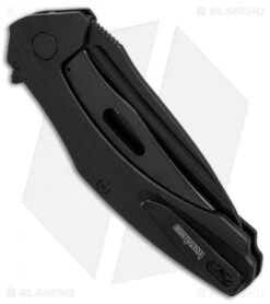 Kershaw Natrix Assisted Opening Sub-Frame Lock Knife Black G-10 (3.25" Black) -Kershaw Store Kershaw Natrix Black G10 black BHQ 80569 er side