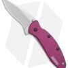 Kershaw Scallion Assisted Opening Knife Purple (2.25" Bead Blast) 1620PUR 1 Kershaw Scallion Assisted Opening Knife Purple (2.25" Bead Blast) 1620PUR -Kershaw Store Kershaw Scallion purple bb BHQ 14804 er