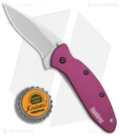 Kershaw Scallion Assisted Opening Knife Purple (2.25" Bead Blast) 1620PUR -Kershaw Store Kershaw Scallion purple bb BHQ 14804 er bottlecap