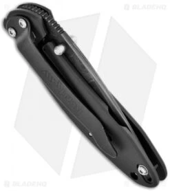 Kershaw Scallion Assisted Opening Knife Black (2.25" Damascus) 1620DAMBK -Kershaw Store kershaw black damascus plain 1620damckt schallion side