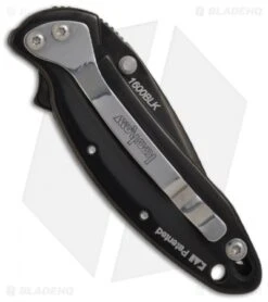 Kershaw Chive Assisted Opening Knife Black (1.94" Black) 1600BLK -Kershaw Store kershaw speedsafe 1600blk back