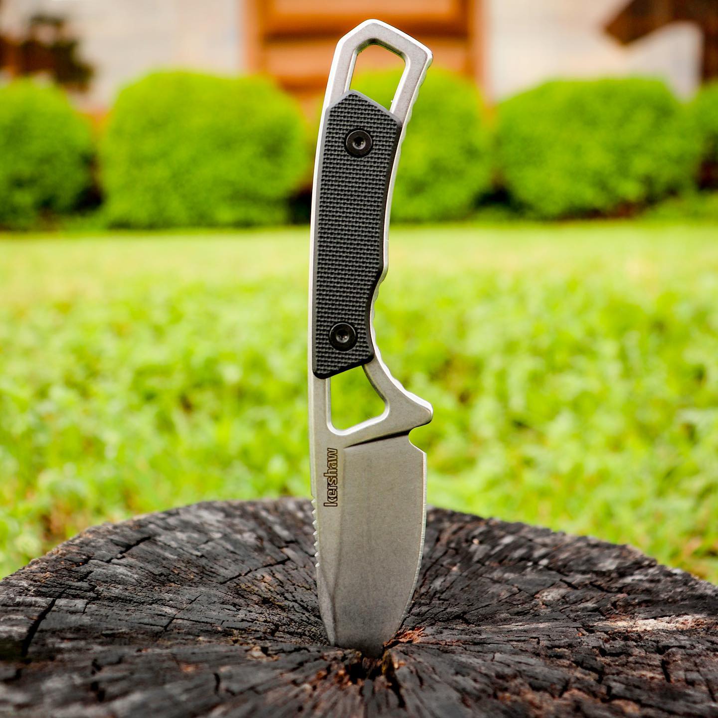 Kershaw Store -Kershaw Store 182657429 10159573147752578 8348342511101228073 n